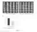 Fig. 06 - Immune cell activation inhibitor and use thereof