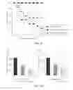 Fig. 07 - Immune cell activation inhibitor and use thereof