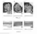 Fig. 09 - Immune cell activation inhibitor and use thereof
