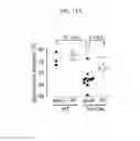 Fig. 45 - METHOD FOR TREATING TAU PROTEIN-MEDIATED DEGENERATIVE NEURONAL DISEASE