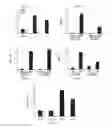 Fig. 02 - Modulation of the immune response
