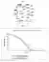 Fig. 02 - Amnion-derived cell compositions, methods of making and uses thereof