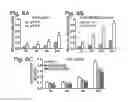 Fig. 07 - Treatment of ischemia