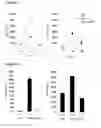 Fig. 08 - Methods and compositions for enhancing vaccine immune responses