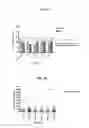Fig. 04 - Methods for producing an immune response to tuberculosis