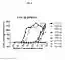 Fig. 06 - Methods for producing an immune response to tuberculosis