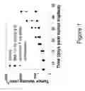 Fig. 02 - COMBINATION THERAPIES COMPRISING ANTI-ERBB3 AGENTS