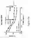 Fig. 47 - COMBINATION THERAPIES COMPRISING ANTI-ERBB3 AGENTS