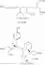 Fig. 09 - Targeted molecular imaging probe and method for in vivo molecular imaging