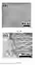 Fig. 09 - PLATFORM FOR OXYGEN GENERATION AND DELIVERY