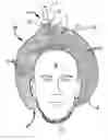 Fig. 01 - Securing a TMS coil to the patient's head