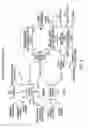 Fig. 09 - OPTICAL METHOD AND DEVICE FOR MODULATION OF BIOCHEMICAL PROCESSES IN ADIPOSE TISSUE