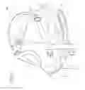 Fig. 02 - Protective hood