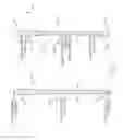 Fig. 02 - Dry-land alpine skis