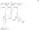 Fig. 32 - Composite membranes and methods of preparation thereof