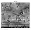 Fig. 09 - Hollow-fibre membrane having novel structure, and production method therefor