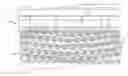 Fig. 01 - Sheet material cutting apparatus, and associated method