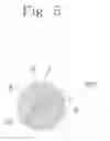 Fig. 06 - Refill for writing tool and writing tool