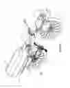 Fig. 06 - Transformable bicycle-cart system