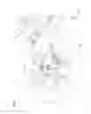 Fig. 02 - Brake caliper