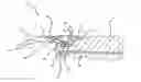 Fig. 01 - Escalator or moving walkway having a security device
