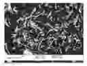 Fig. 01 - Methods for producing crystalline microporous solids with a new CIT-7 topology and compositions derived from the same