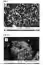 Fig. 03 - Methods for producing crystalline microporous solids with a new CIT-7 topology and compositions derived from the same