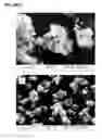 Fig. 04 - Methods for producing crystalline microporous solids with a new CIT-7 topology and compositions derived from the same