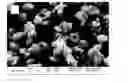 Fig. 01 - Methods for producing crystalline microporous solids with IWV topology and compositions derived from the same