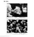 Fig. 04 - Methods for producing crystalline microporous solids with IWV topology and compositions derived from the same