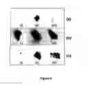Fig. 07 - Process for decomposition of organic synthetic-dyes using semiconductor-oxides nanotubes via dark-catalysis