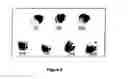 Fig. 09 - Process for decomposition of organic synthetic-dyes using semiconductor-oxides nanotubes via dark-catalysis