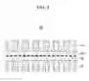 Fig. 05 - Superhydrophilic filter structure for selectively separating water and oil