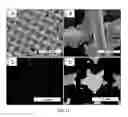 Fig. 14 - Liquid separation device comprising a metallic mesh with a hydrophobic polymer coating
