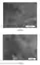 Fig. 15 - Liquid separation device comprising a metallic mesh with a hydrophobic polymer coating
