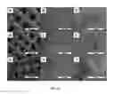 Fig. 20 - Liquid separation device comprising a metallic mesh with a hydrophobic polymer coating