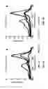 Fig. 02 - Cholate and deoxycholate-based amphiphiles for membrane protein manipulation