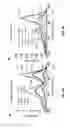 Fig. 07 - Cholate and deoxycholate-based amphiphiles for membrane protein manipulation