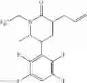 Fig. 32 - Aliphatic spirolactam CGRP receptor antagonists