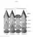 Fig. 85 - Flagellin related polypeptides and uses thereof