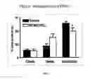 Fig. 02 - METHODS FOR TREATING PSYCHIATRIC DISORDERS OR SYMPTOMS THEREOF USING NCAM PEPTIDE MIMETICS