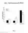 Fig. 05 - METHODS FOR TREATING PSYCHIATRIC DISORDERS OR SYMPTOMS THEREOF USING NCAM PEPTIDE MIMETICS