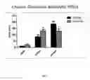 Fig. 08 - METHODS FOR TREATING PSYCHIATRIC DISORDERS OR SYMPTOMS THEREOF USING NCAM PEPTIDE MIMETICS