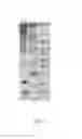 Fig. 02 - SCYTODES VENOM FIBER PEPTIDES, NUCLEIC ACIDS AND METHODS OF MAKING AND USING