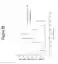 Fig. 30 - Methods and compositions related to improving properties of pharmacological agents targeting nervous system