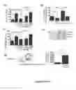 Fig. 07 - Compositions and methods for treating hypertension