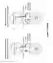 Fig. 03 - Human antibodies to PD-L1
