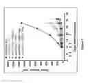Fig. 04 - Human antibodies to PD-L1