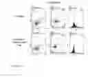 Fig. 07 - Method of generating antibodies