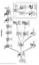 Fig. 02 - Anti-CD38 antibodies